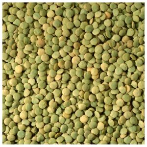 Green Lentils, per 16oz - Papaya Express