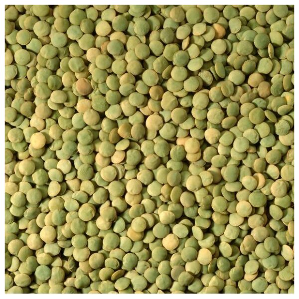 Green Lentils, per 16oz - Papaya Express