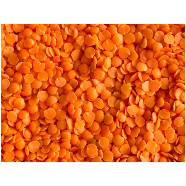 Red Lentils, per container 16oz - Papaya Express